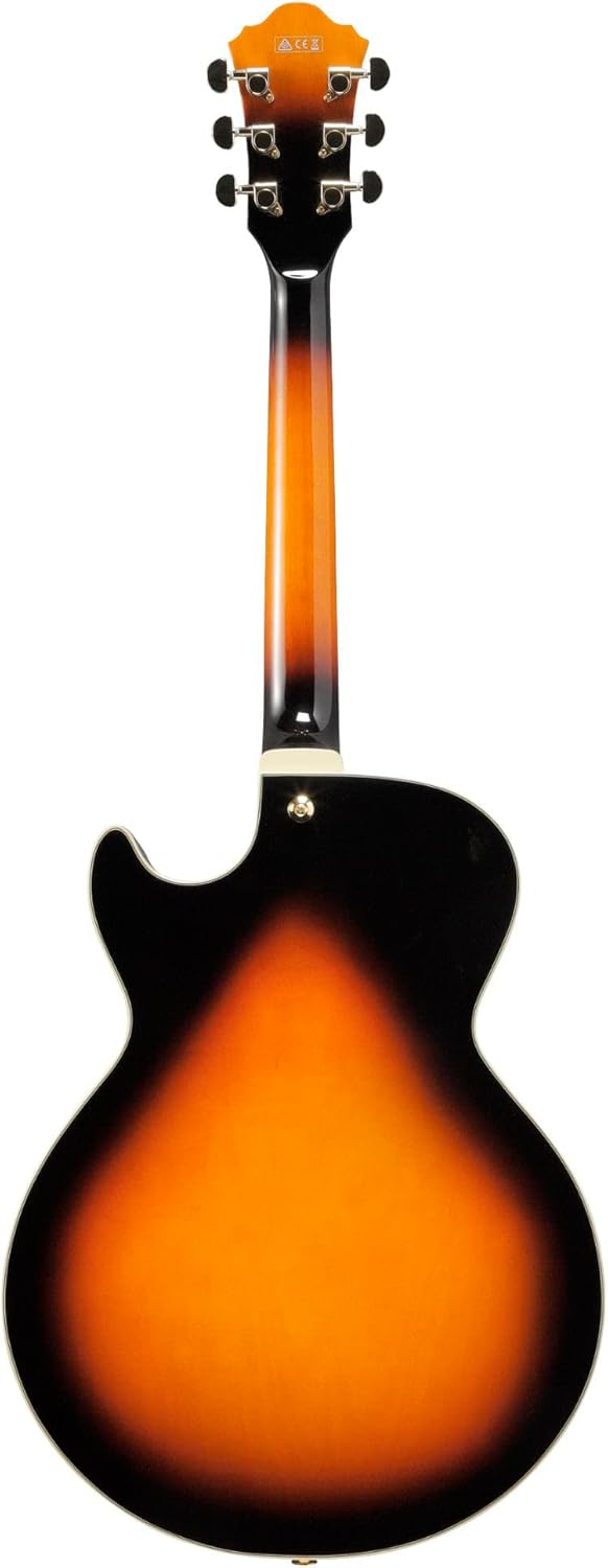 Brown Sunburst Full-Hollow Electric Guitar J271650