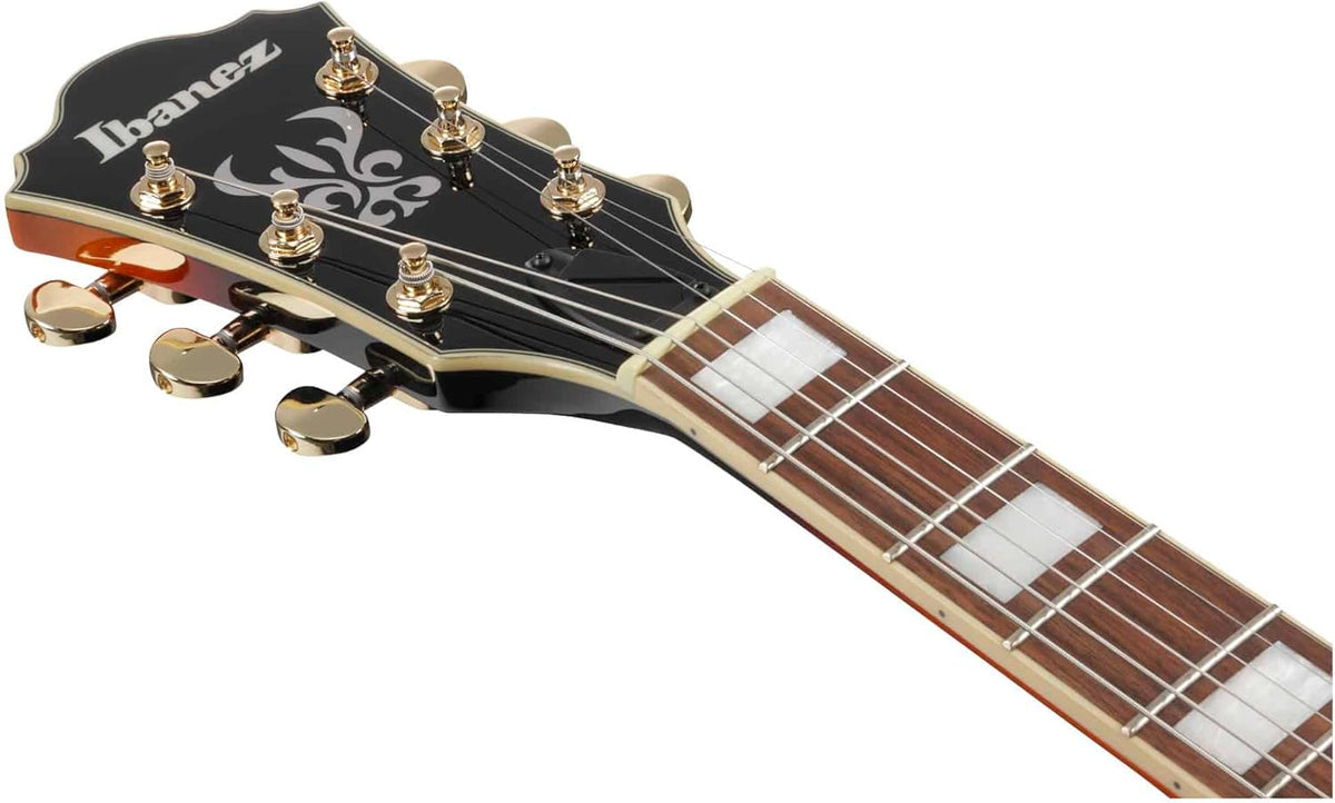 Brown Sunburst Full-Hollow Electric Guitar J271650