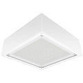 Frosted 65W Warm LED Flat Lens WH X264