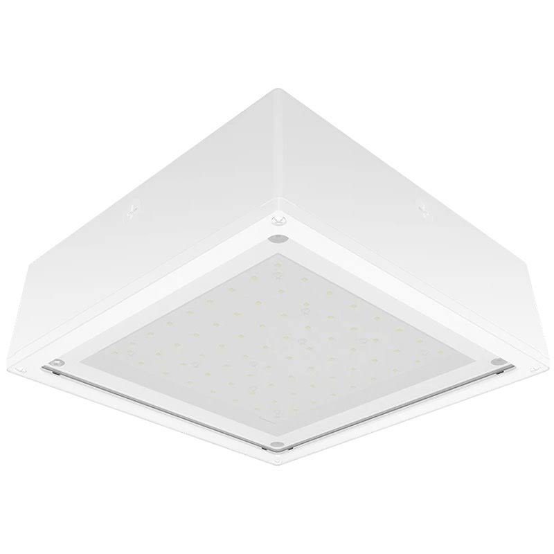 Frosted 65W Warm LED Flat Lens WH X264