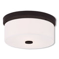 Bronze 2 Light Ceiling Mount R136