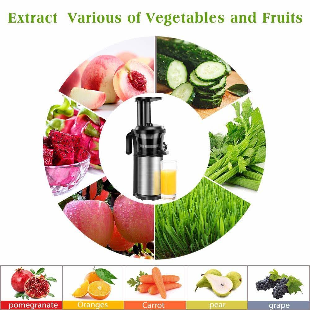 Portable Vertical Cold Press Juicer Y73992