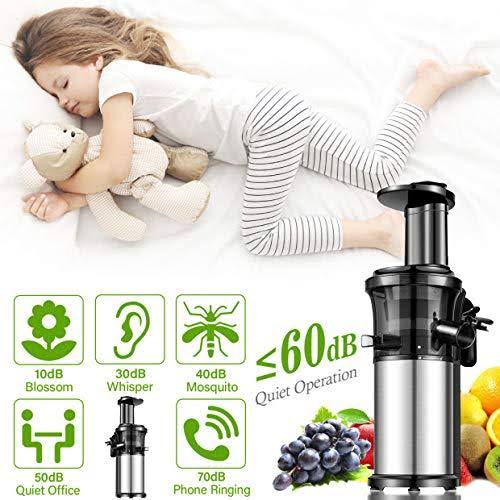 Portable Vertical Cold Press Juicer Y73992