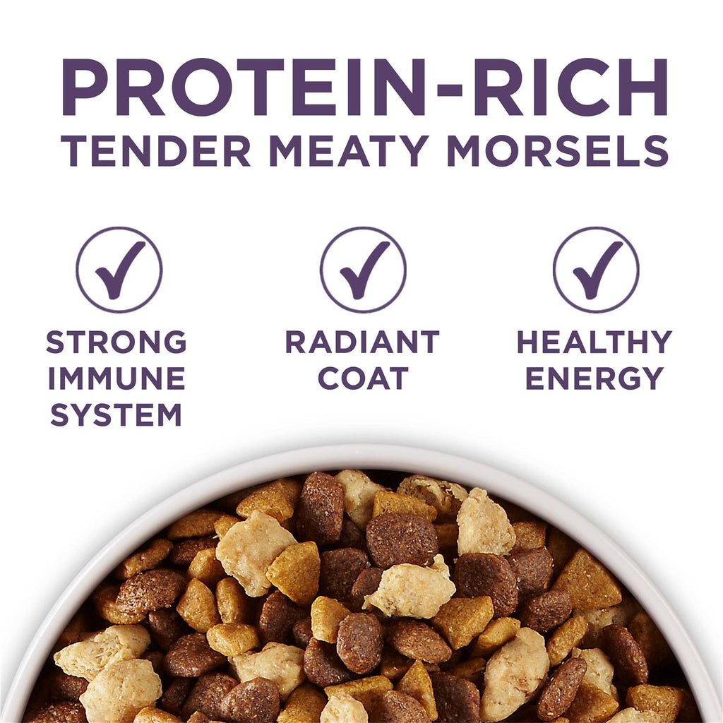 Adult Dry Dog Food Senior J321706