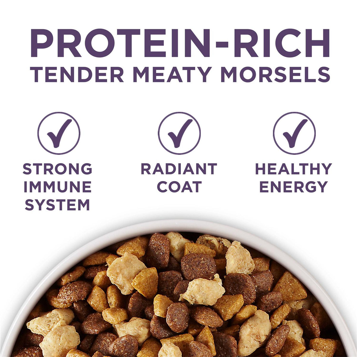 Adult Dry Dog Food Senior J321706