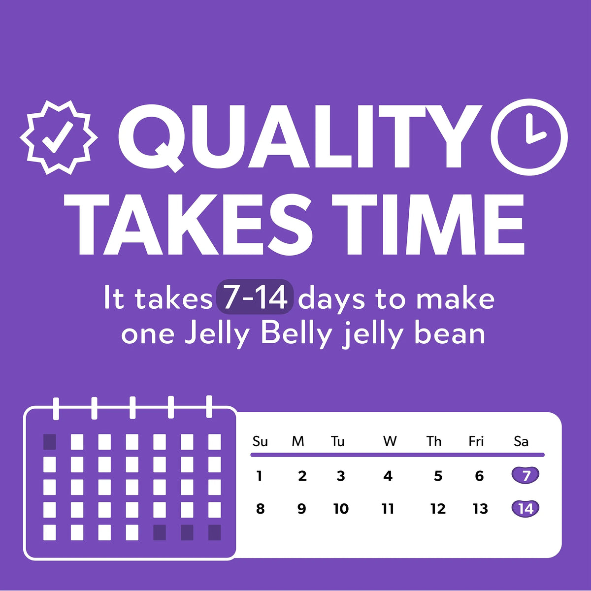 6.75 Ounce 20 Flavors Jelly Bean Candy O784