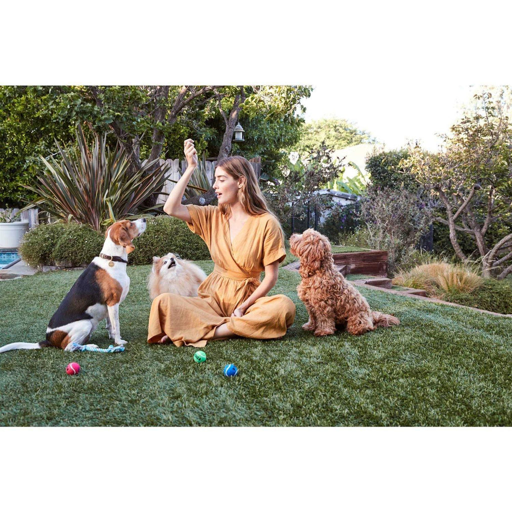 Chicken Recipe Dog Treats A4041