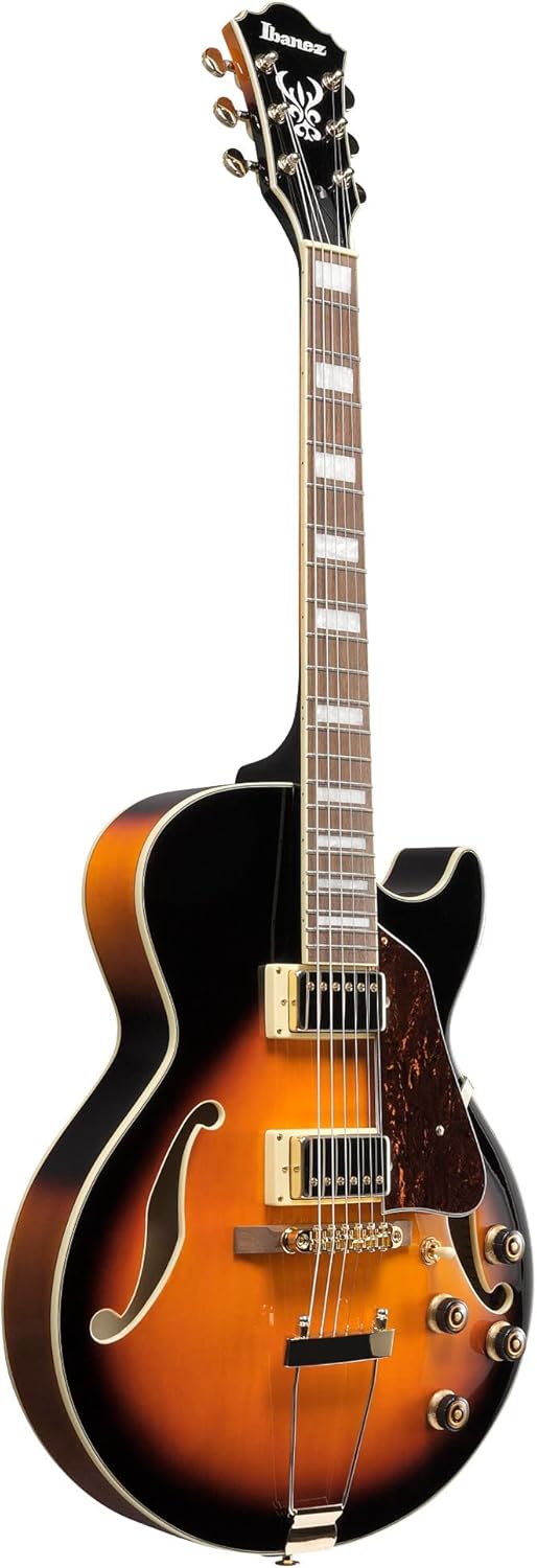 Brown Sunburst Full-Hollow Electric Guitar J271650