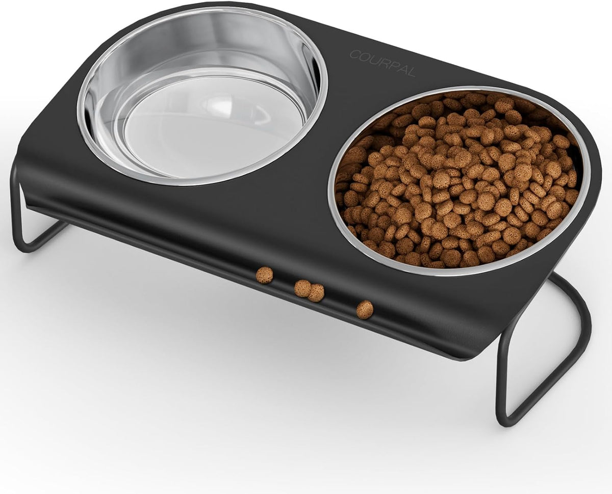 Raised Cat Food and Water Bowl Set with Stainless Steel Stand, 15° Tilted Elevated Cat Bowl, Double Metal Bowls B1989