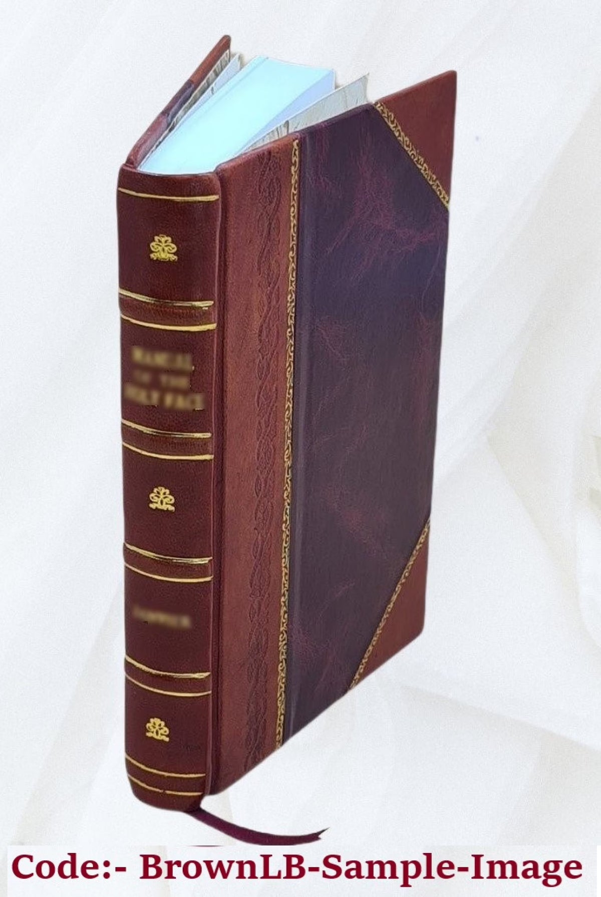 Leather Bound Book S3473