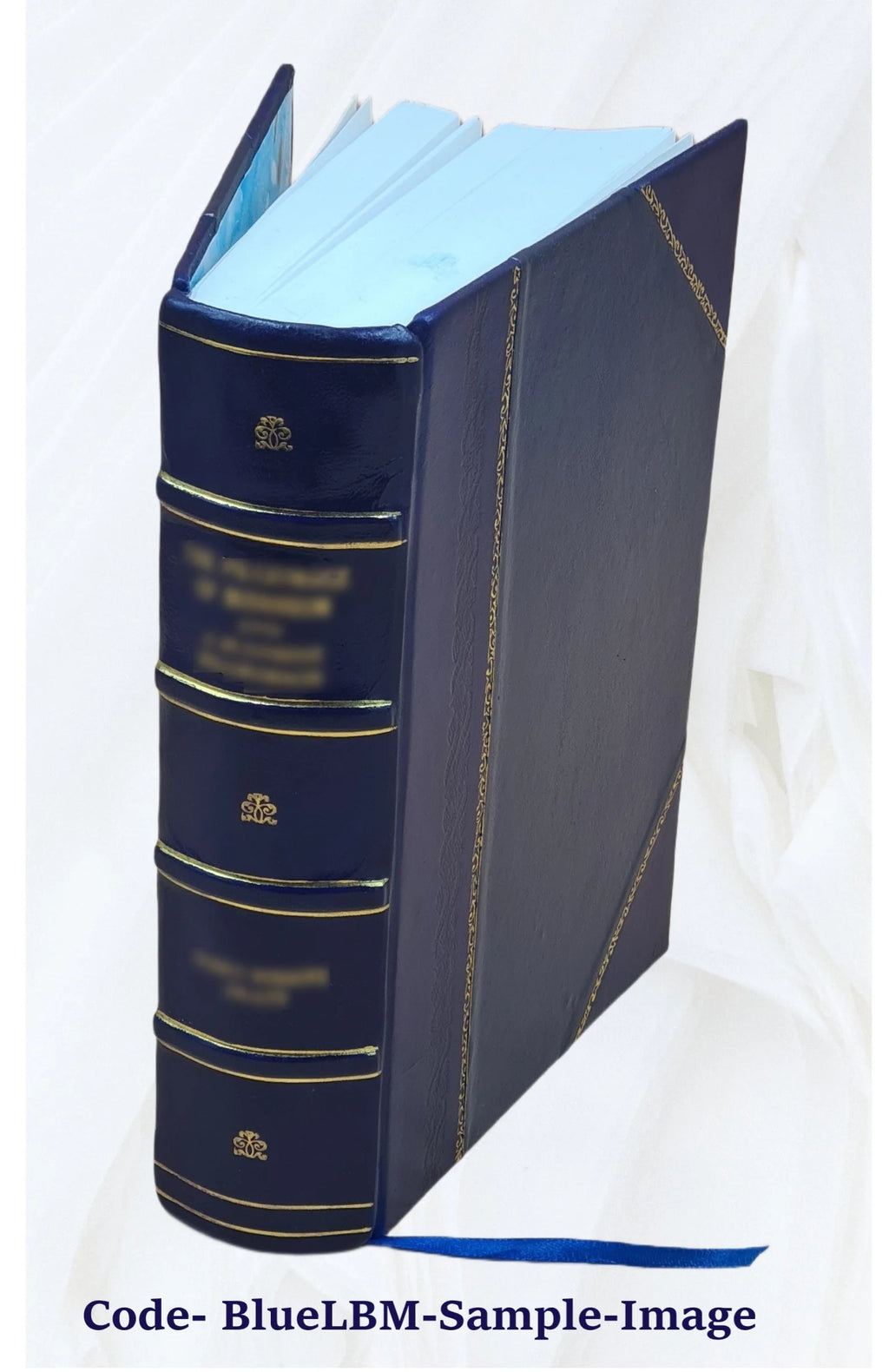 Bibliotheca historica selecta Volume 1 Leather Bound N1582