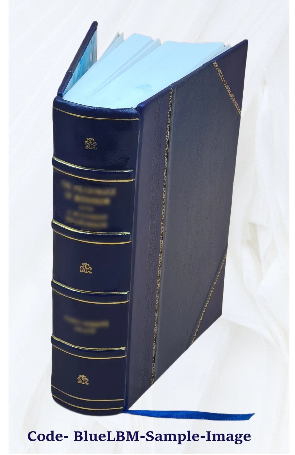 Bibliotheca historica selecta Volume 1 Leather Bound N1582