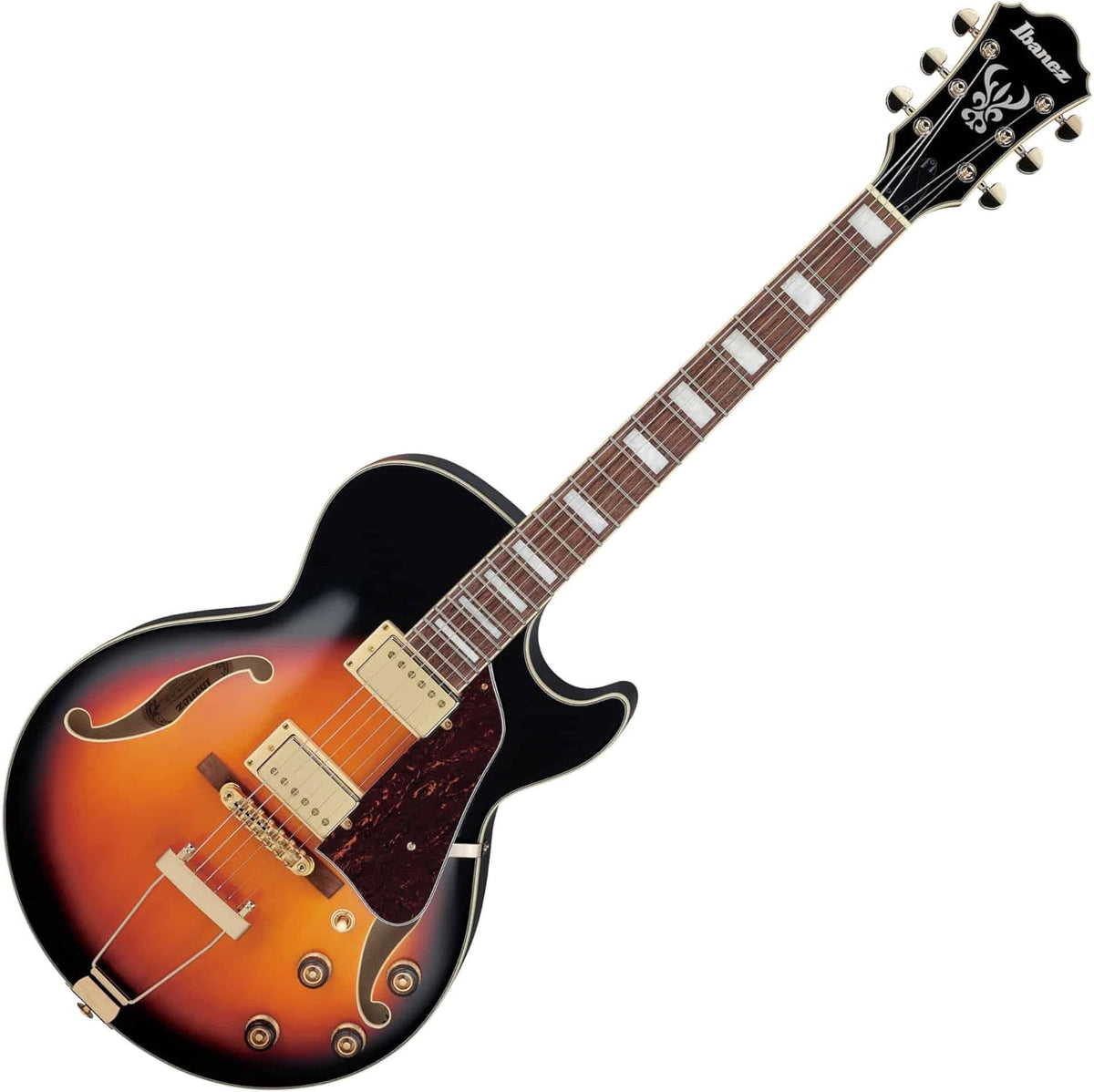 Brown Sunburst Full-Hollow Electric Guitar J271650