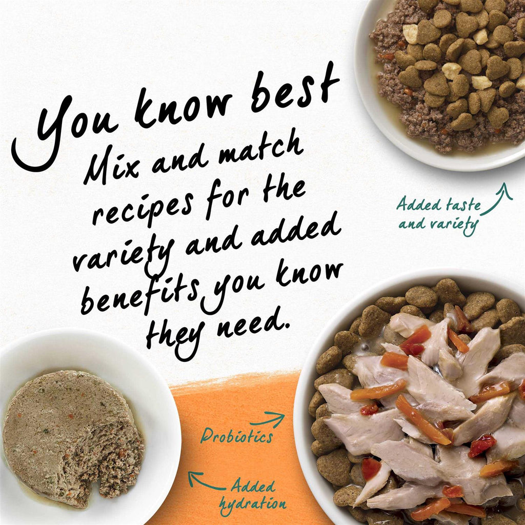 Grain Free White Meat Chicken & Egg Recipe Natural Dry Cat Food E6490