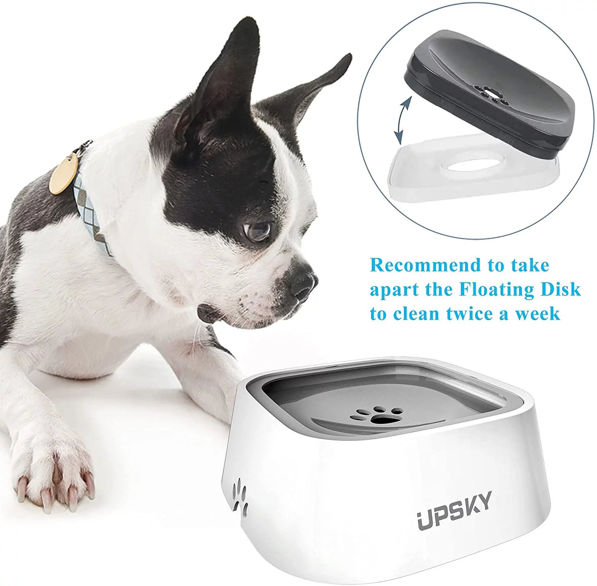 No Spill No Drip 35oz Pet Water Bowl T17012