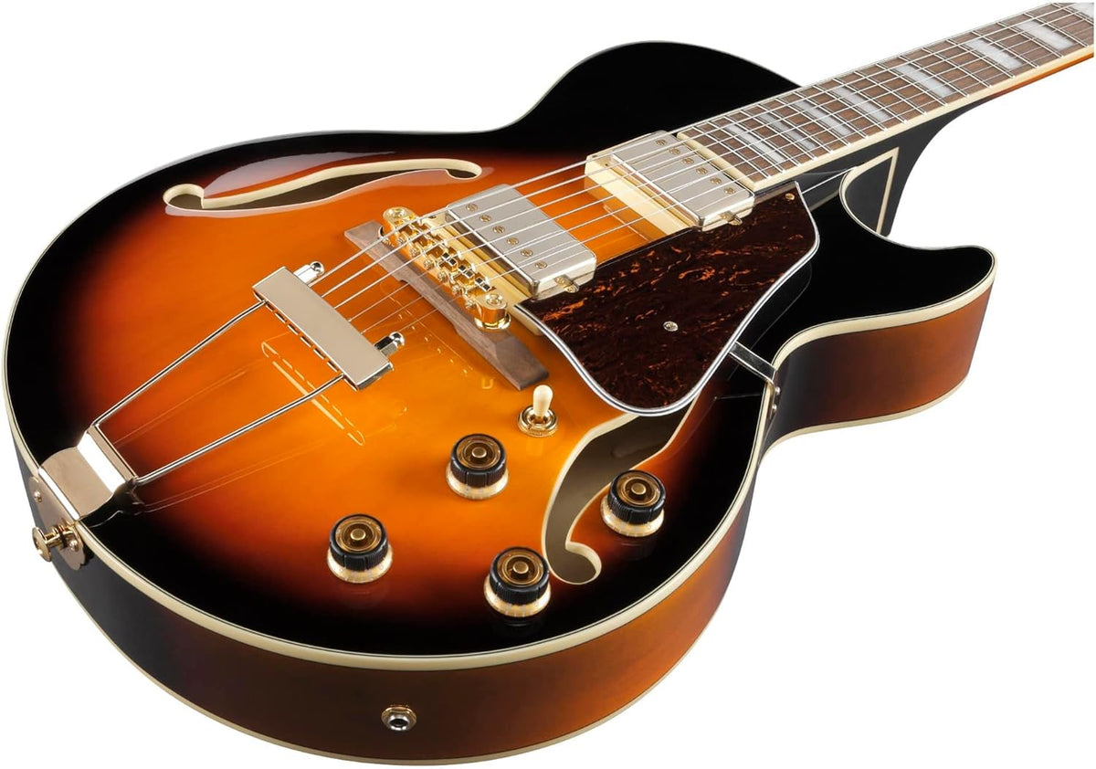 Brown Sunburst Full-Hollow Electric Guitar J271650