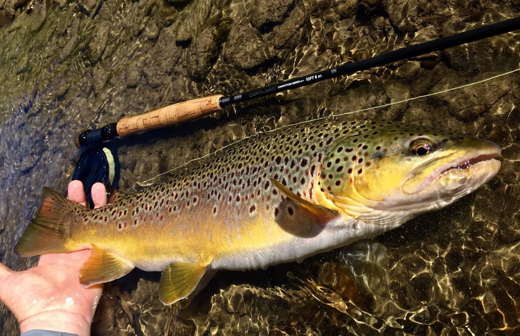 Euro Style Nymphing Fly Rod J377