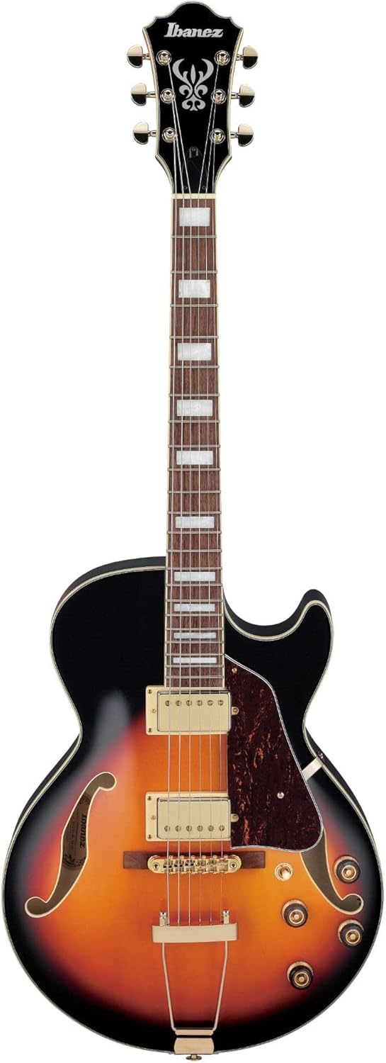 Brown Sunburst Full-Hollow Electric Guitar J271650