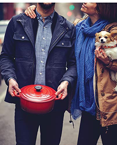 5.5 qt. Enameled Cast Iron Round Dutch Oven D862