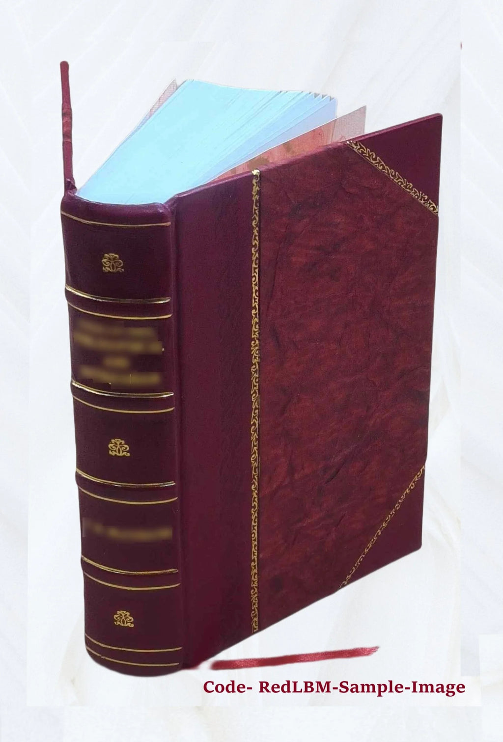 Bibliotheca historica selecta Volume 1 Leather Bound N1582