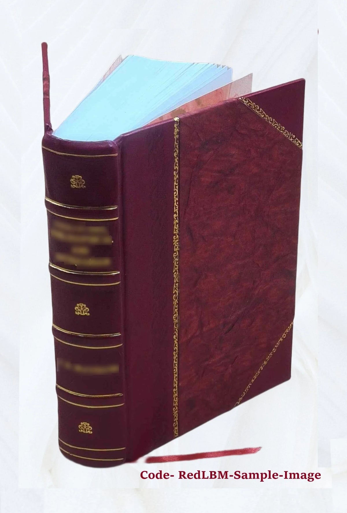 Bibliotheca historica selecta Volume 1 Leather Bound N1582