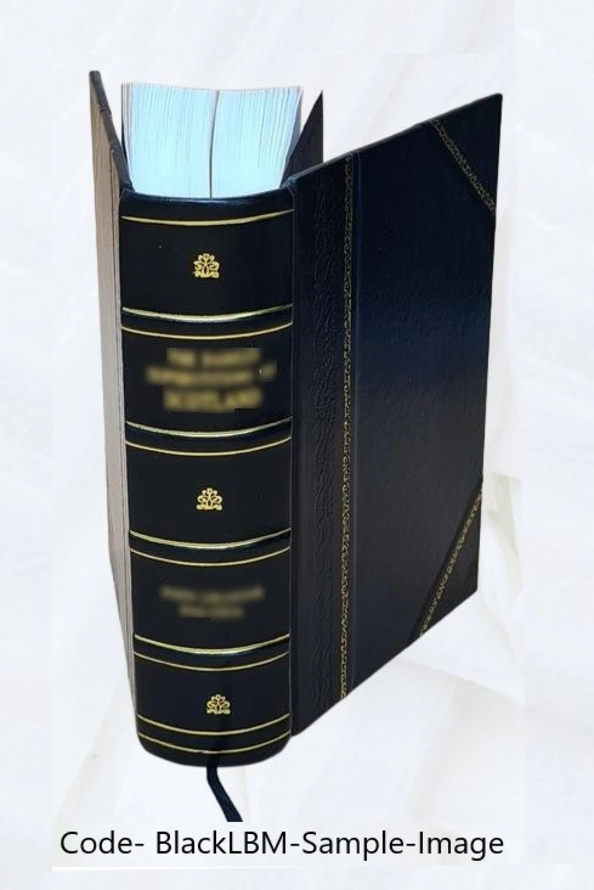 Bibliotheca historica selecta Volume 1 Leather Bound N1582