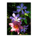 Canvas Art V950346