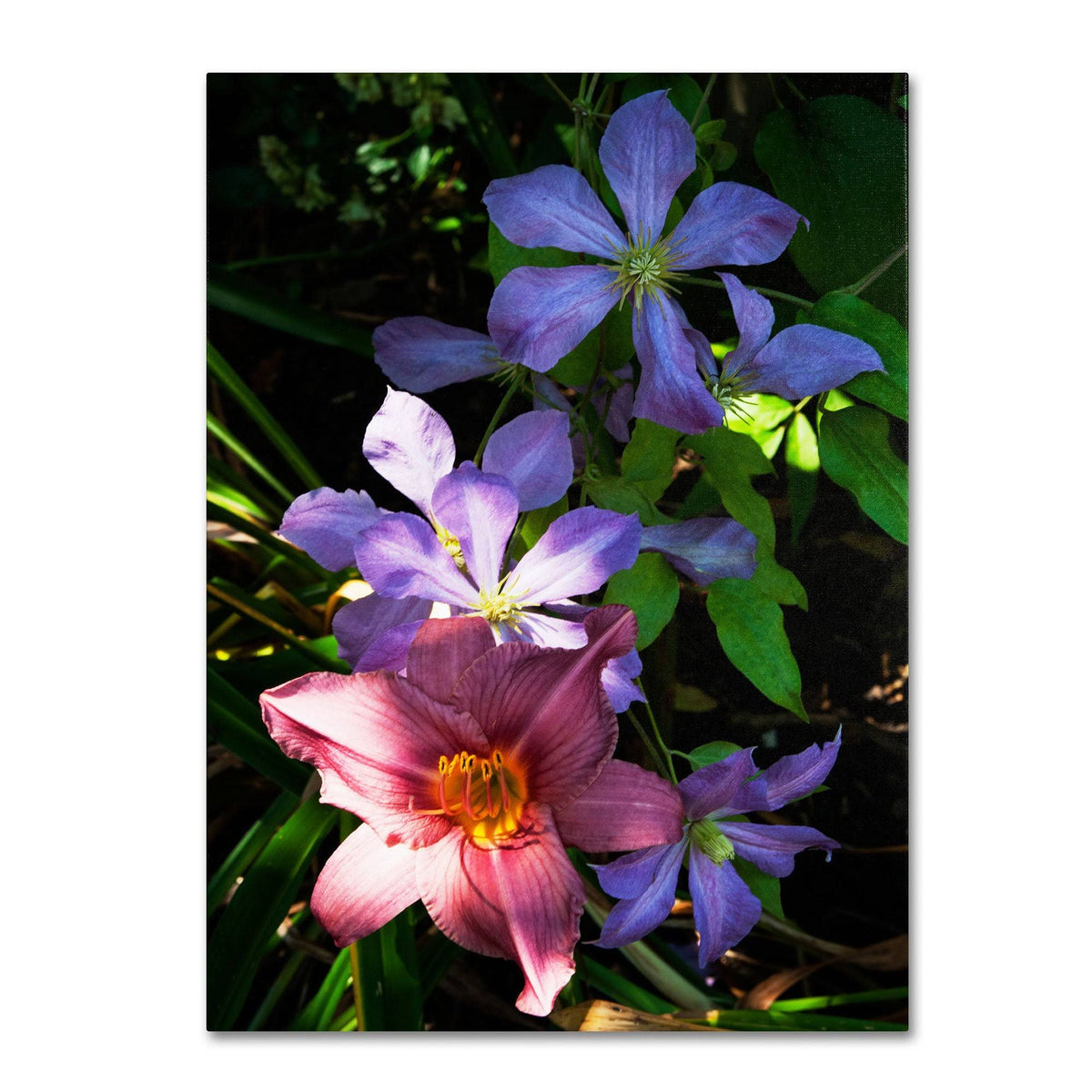 Canvas Art V950346