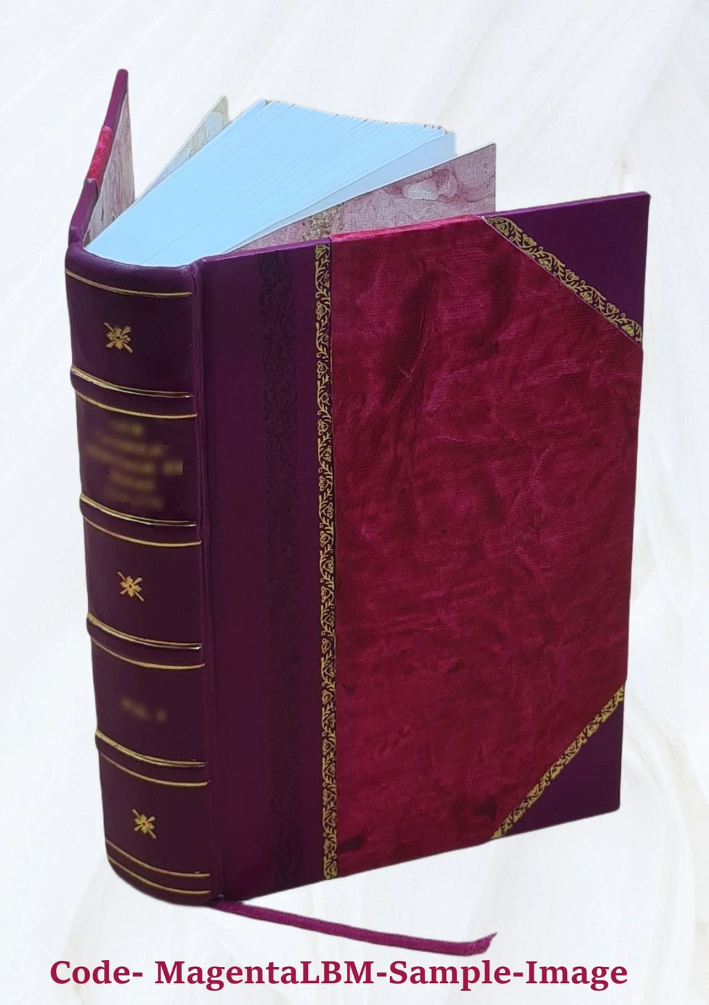 Bibliotheca historica selecta Volume 1 Leather Bound N1582