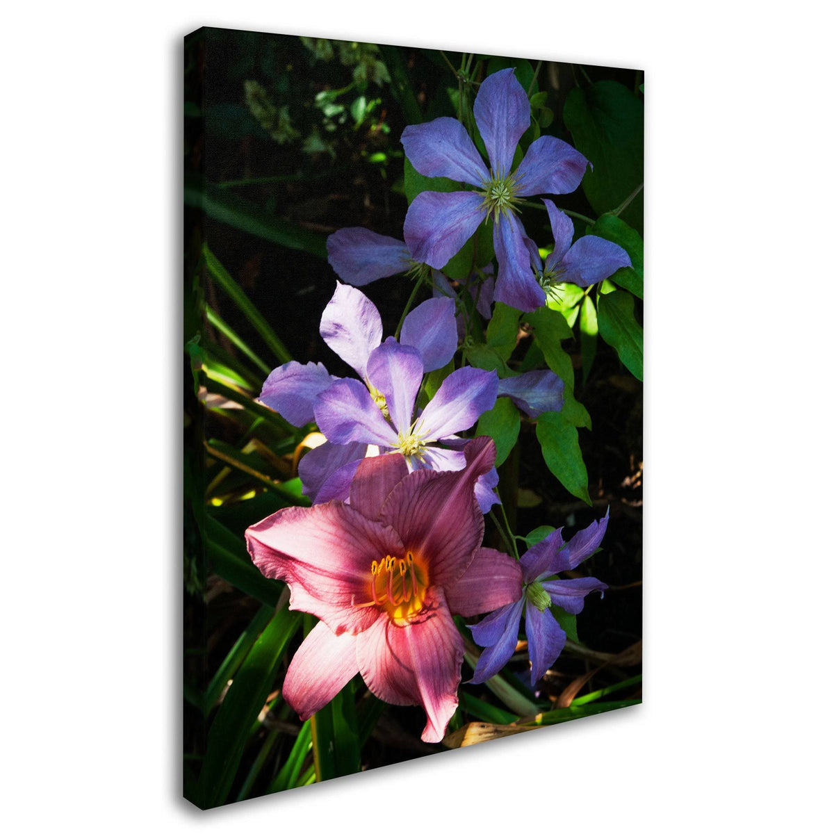 Canvas Art V950346
