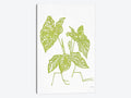 Canvas Wall Decor Prints - Tropical Plant X8775